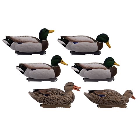 fully flocked mallard decoys.